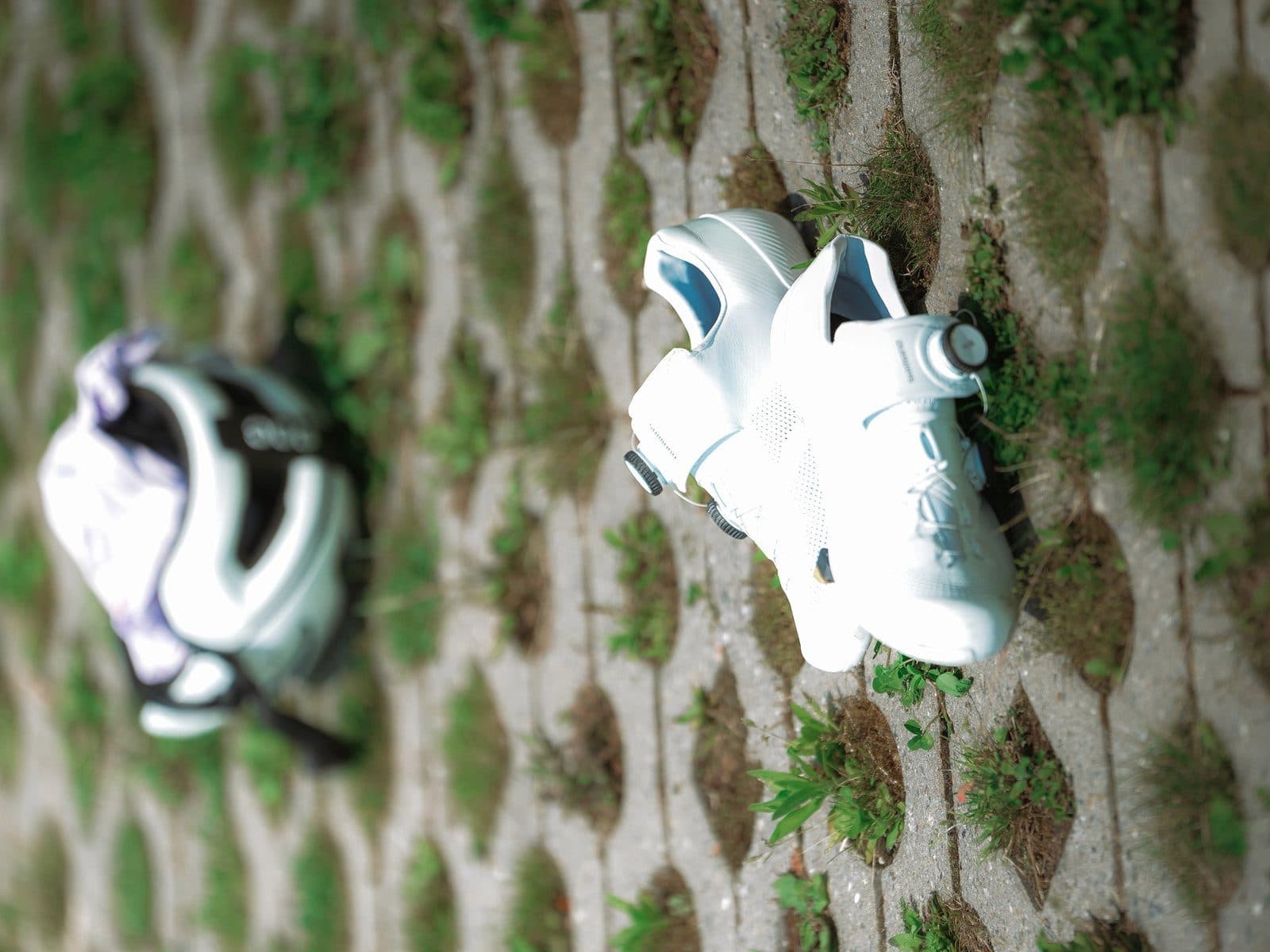 Femke Prins visual 3